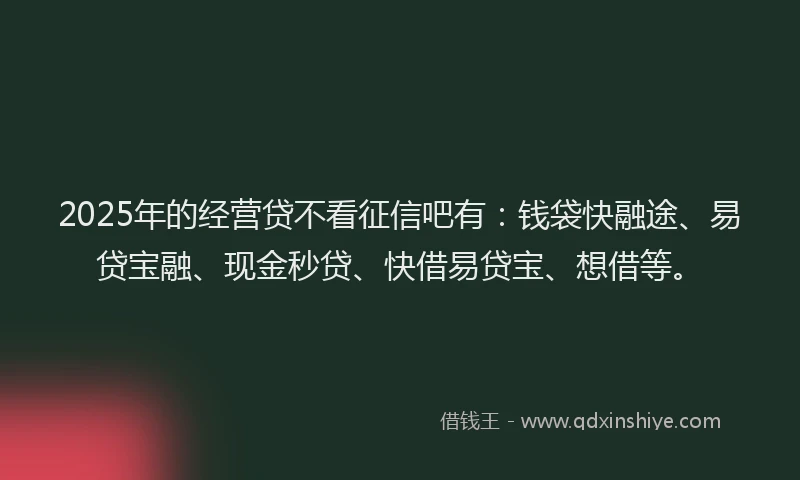 2025年的经营贷不看征信吧有：钱袋快融途、易贷宝融、现金秒贷、快借易贷宝、想借等。