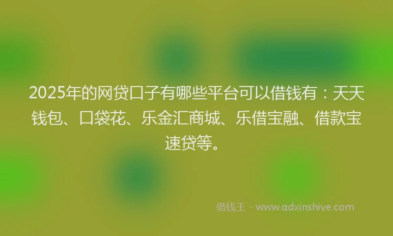 2025年的网贷口子有哪些平台可以借钱有：天天钱包、口袋花、乐金汇商城、乐借宝融、借款宝速贷等。