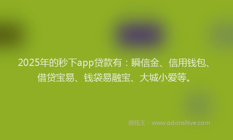 2025年的秒下app贷款有：瞬信金、信用钱包、借贷宝易、钱袋易融宝、大城小爱等。