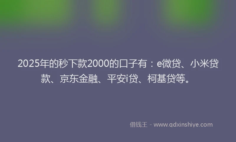 2025年的秒下款2000的口子有：e微贷、小米贷款、京东金融、平安i贷、柯基贷等。