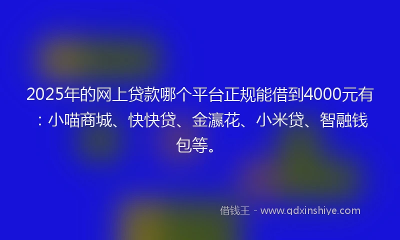 2025年的网上贷款哪个平台正规能借到4000元有：小喵商城、快快贷、金瀛花、小米贷、智融钱包等。
