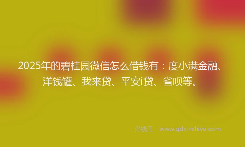 2025年的碧桂园微信怎么借钱有：度小满金融、洋钱罐、我来贷、平安i贷、省呗等。