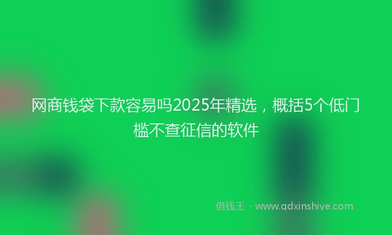 网商钱袋下款容易吗2025年精选，概括5个低门槛不查征信的软件