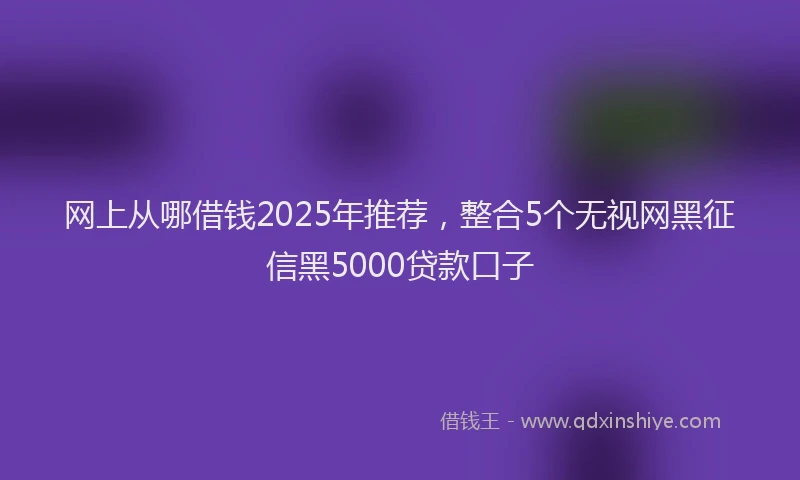 网上从哪借钱2025年推荐，整合5个无视网黑征信黑5000贷款口子