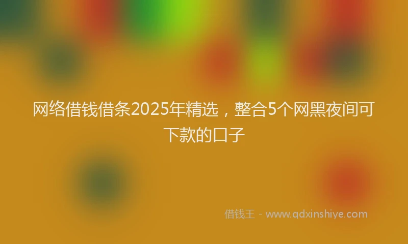 网络借钱借条2025年精选，整合5个网黑夜间可下款的口子