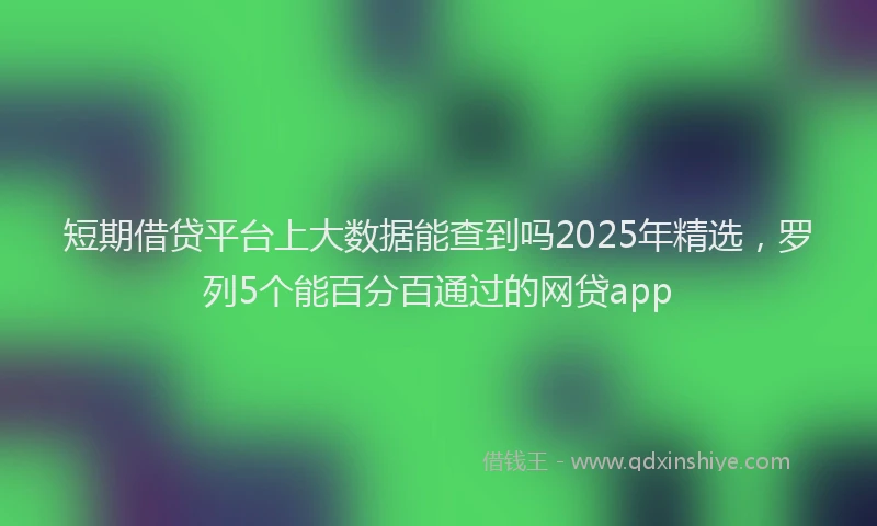 短期借贷平台上大数据能查到吗2025年精选，罗列5个能百分百通过的网贷app