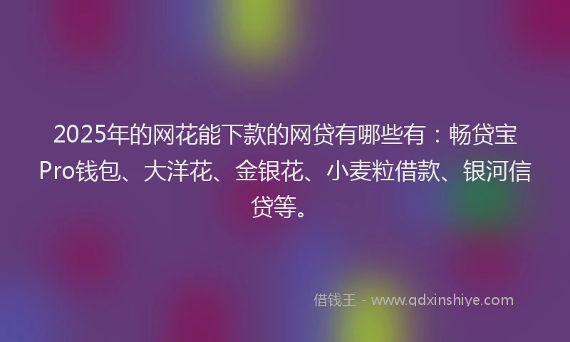 2025年的网花能下款的网贷有哪些有：畅贷宝Pro钱包、大洋花、金银花、小麦粒借款、银河信贷等。