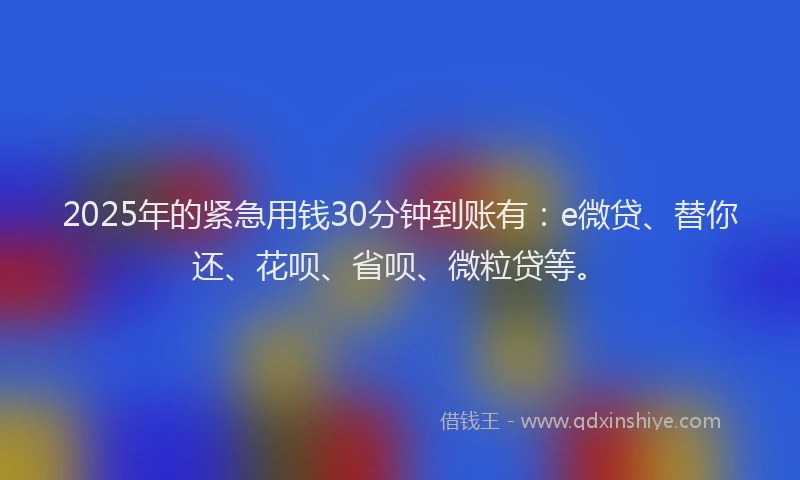 2025年的紧急用钱30分钟到账有：e微贷、替你还、花呗、省呗、微粒贷等。