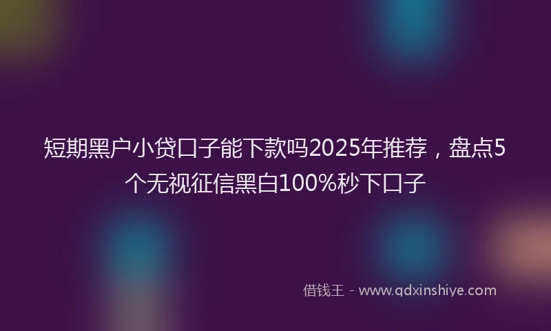 短期黑户小贷口子能下款吗2025年推荐，盘点5个无视征信黑白100%秒下口子
