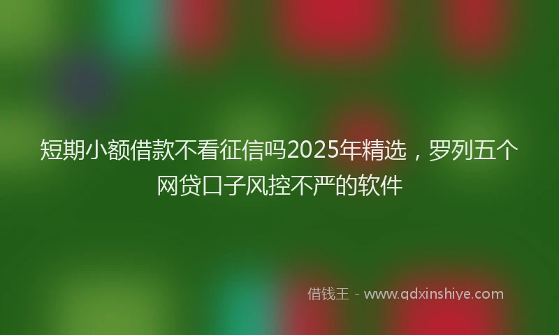 短期小额借款不看征信吗2025年精选，罗列五个网贷口子风控不严的软件