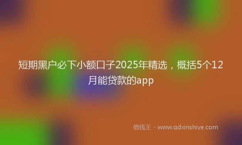 短期黑户必下小额口子2025年精选，概括5个12月能贷款的app