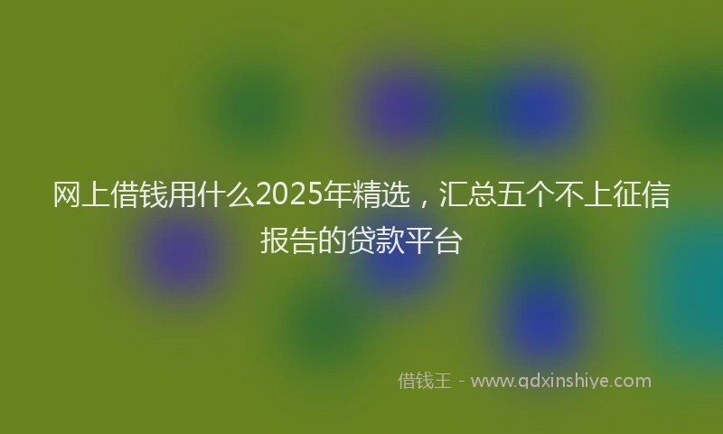 网上借钱用什么2025年精选，汇总五个不上征信报告的贷款平台