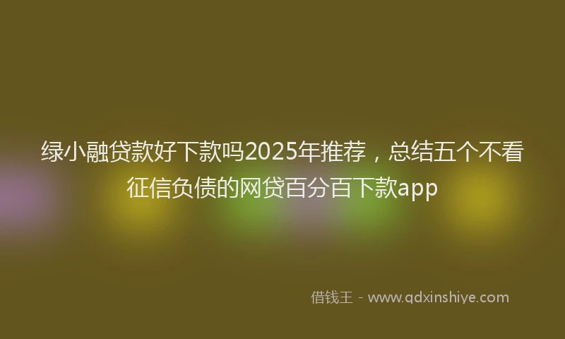 绿小融贷款好下款吗2025年推荐，总结五个不看征信负债的网贷百分百下款app