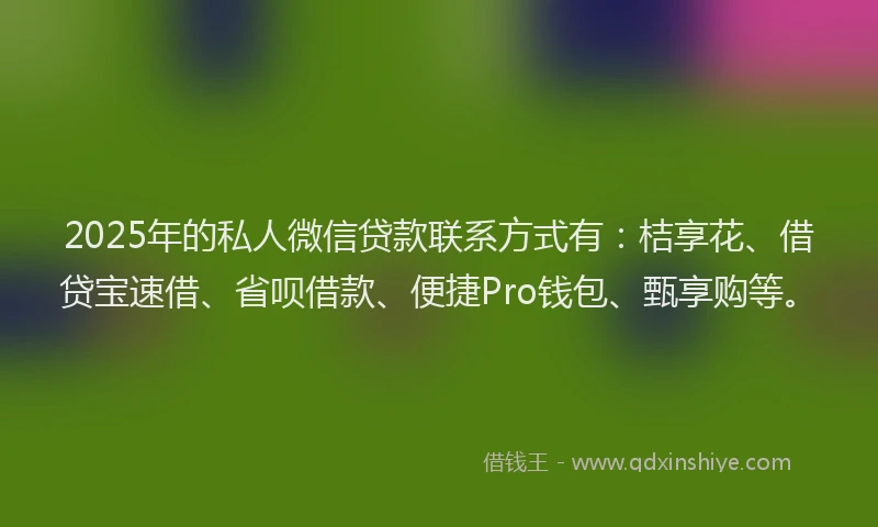 2025年的私人微信贷款联系方式有：桔享花、借贷宝速借、省呗借款、便捷Pro钱包、甄享购等。