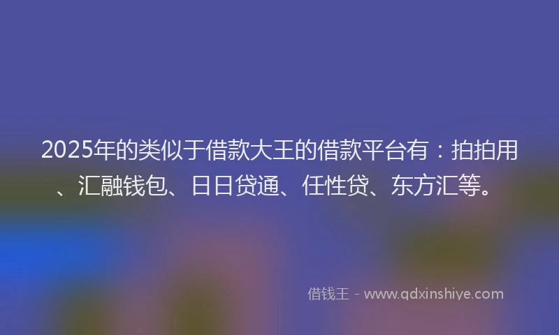 2025年的类似于借款大王的借款平台有：拍拍用、汇融钱包、日日贷通、任性贷、东方汇等。