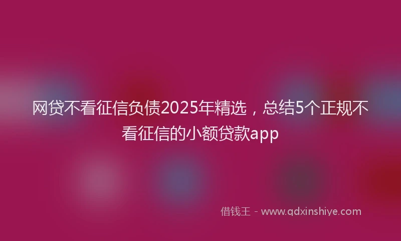 网贷不看征信负债2025年精选，总结5个正规不看征信的小额贷款app