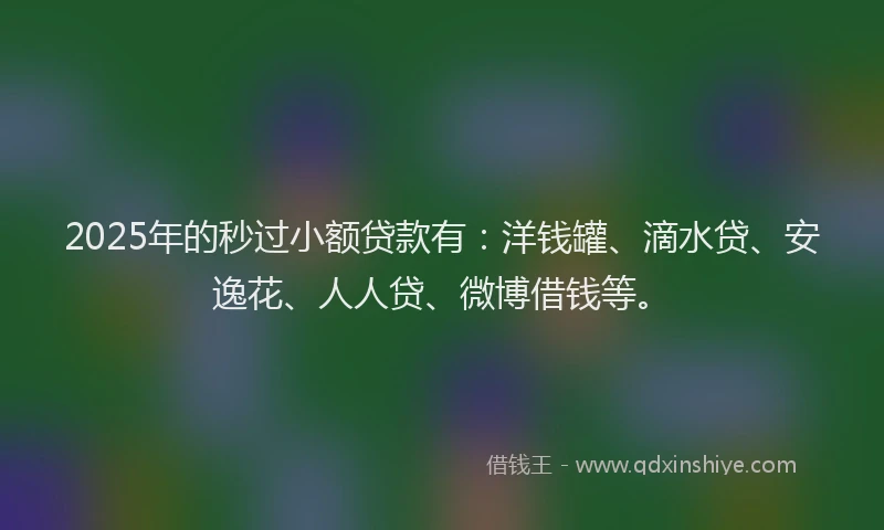 2025年的秒过小额贷款有：洋钱罐、滴水贷、安逸花、人人贷、微博借钱等。