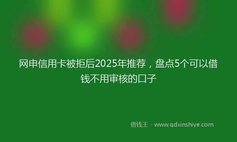 网申信用卡被拒后2025年推荐，盘点5个可以借钱不用审核的口子