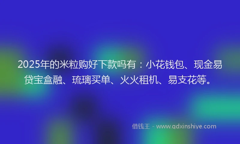 2025年的米粒购好下款吗有：小花钱包、现金易贷宝盒融、琉璃买单、火火租机、易支花等。