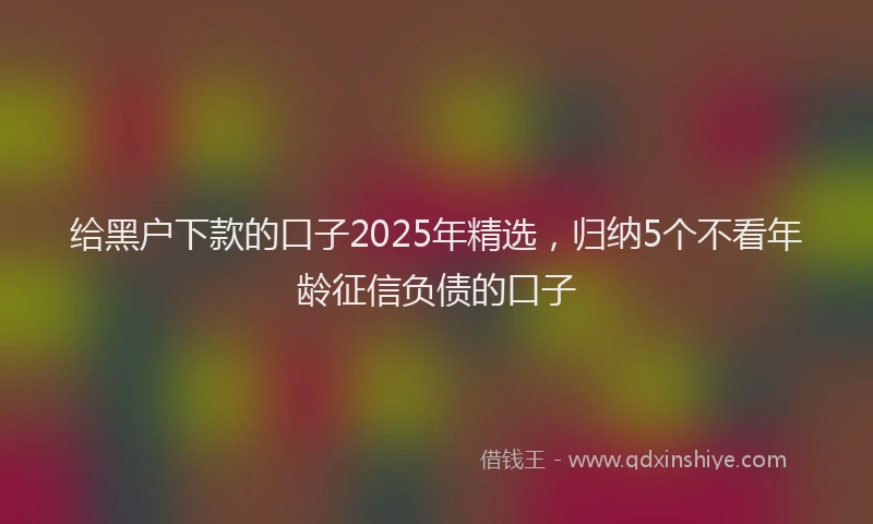 给黑户下款的口子2025年精选，归纳5个不看年龄征信负债的口子