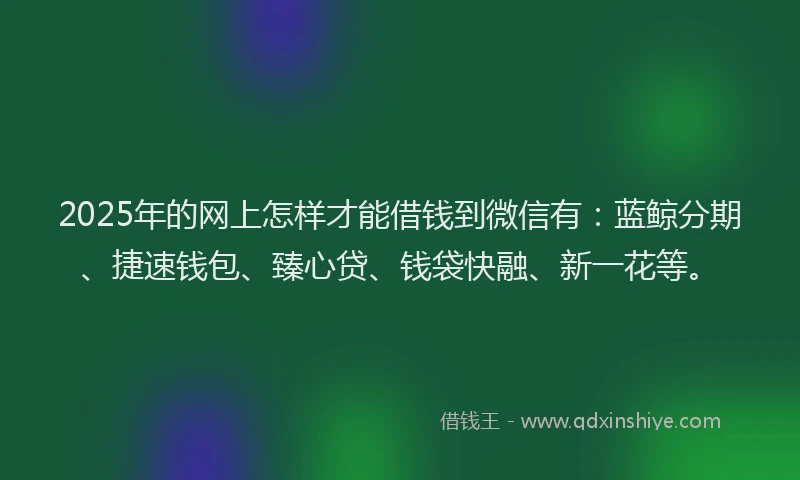 2025年的网上怎样才能借钱到微信有：蓝鲸分期、捷速钱包、臻心贷、钱袋快融、新一花等。