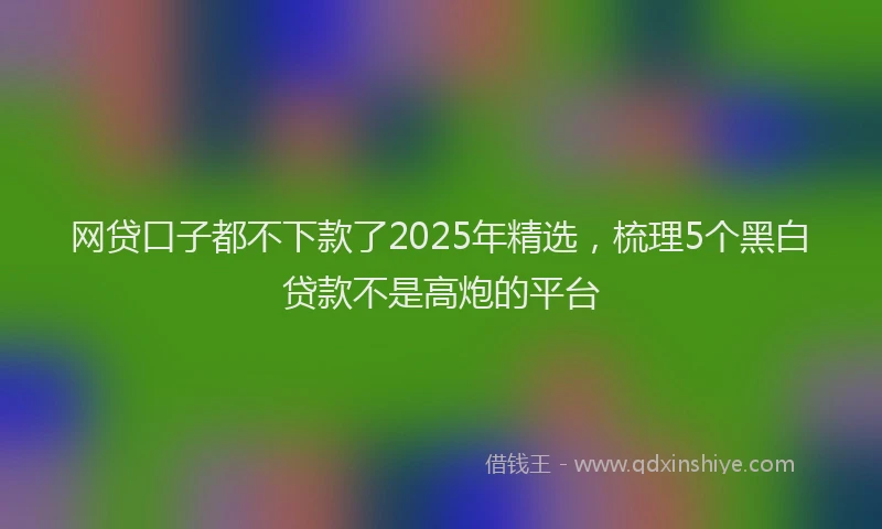 网贷口子都不下款了2025年精选，梳理5个黑白贷款不是高炮的平台