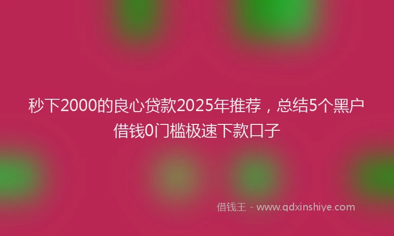 秒下2000的良心贷款2025年推荐，总结5个黑户借钱0门槛极速下款口子