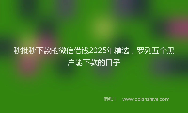 秒批秒下款的微信借钱2025年精选，罗列五个黑户能下款的口子