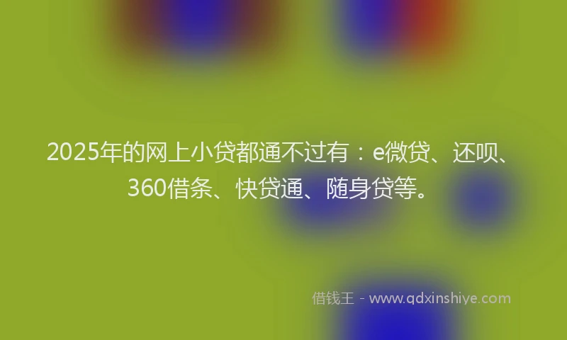 2025年的网上小贷都通不过有：e微贷、还呗、360借条、快贷通、随身贷等。