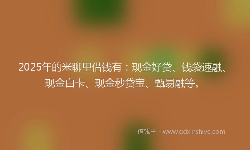 2025年的米聊里借钱有：现金好贷、钱袋速融、现金白卡、现金秒贷宝、甄易融等。