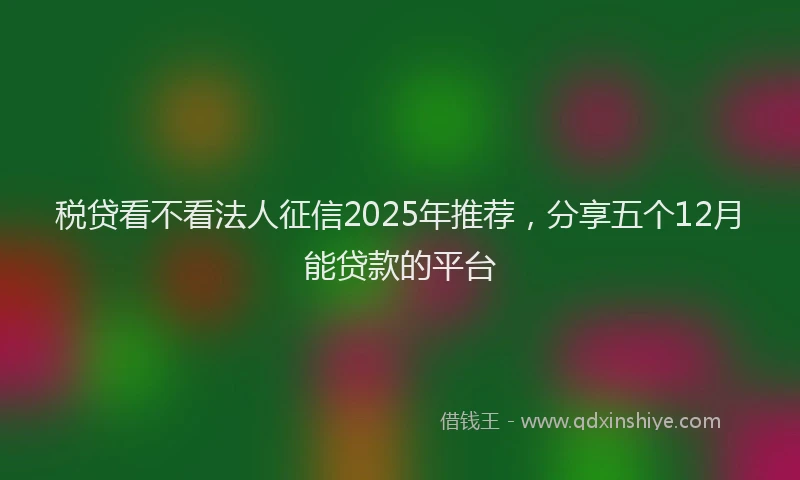 税贷看不看法人征信2025年推荐，分享五个12月能贷款的平台
