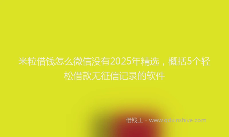 米粒借钱怎么微信没有2025年精选，概括5个轻松借款无征信记录的软件