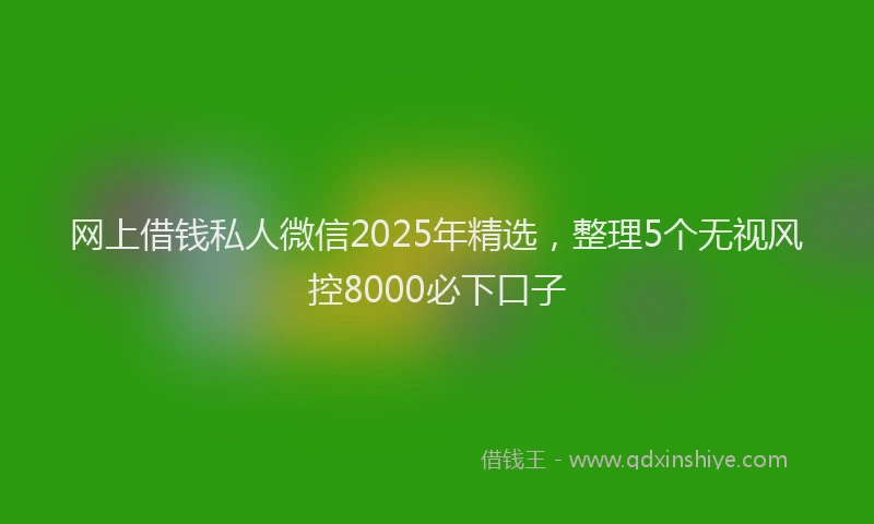 网上借钱私人微信2025年精选，整理5个无视风控8000必下口子