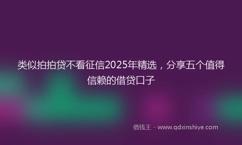 类似拍拍贷不看征信2025年精选，分享五个值得信赖的借贷口子