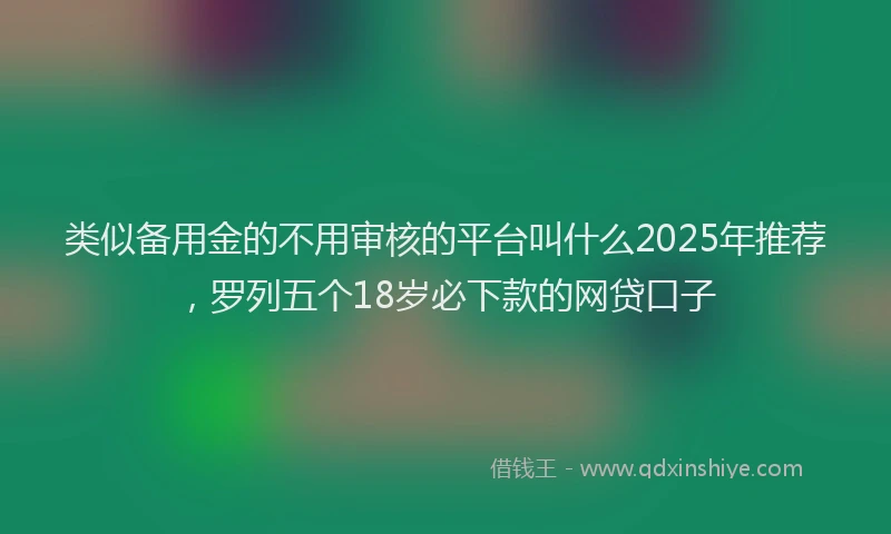 类似备用金的不用审核的平台叫什么2025年推荐，罗列五个18岁必下款的网贷口子
