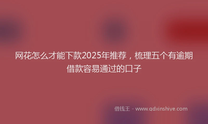 网花怎么才能下款2025年推荐，梳理五个有逾期借款容易通过的口子