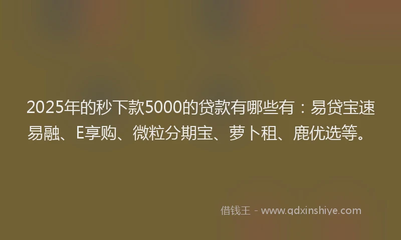 2025年的秒下款5000的贷款有哪些有：易贷宝速易融、E享购、微粒分期宝、萝卜租、鹿优选等。