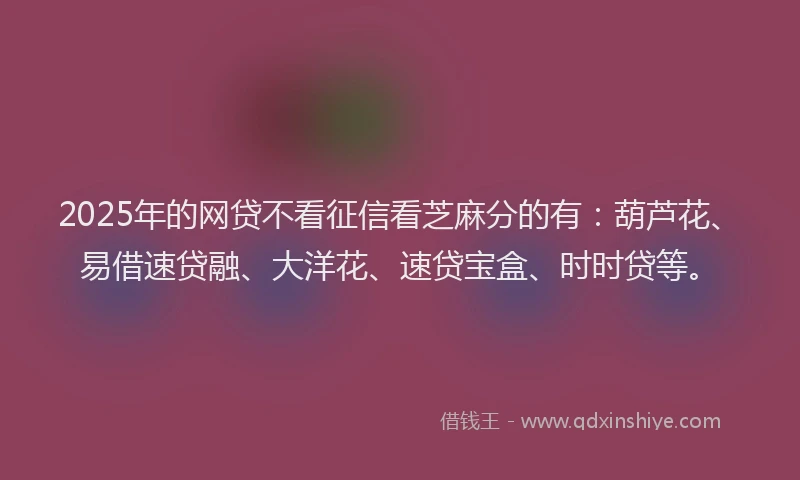 2025年的网贷不看征信看芝麻分的有：葫芦花、易借速贷融、大洋花、速贷宝盒、时时贷等。