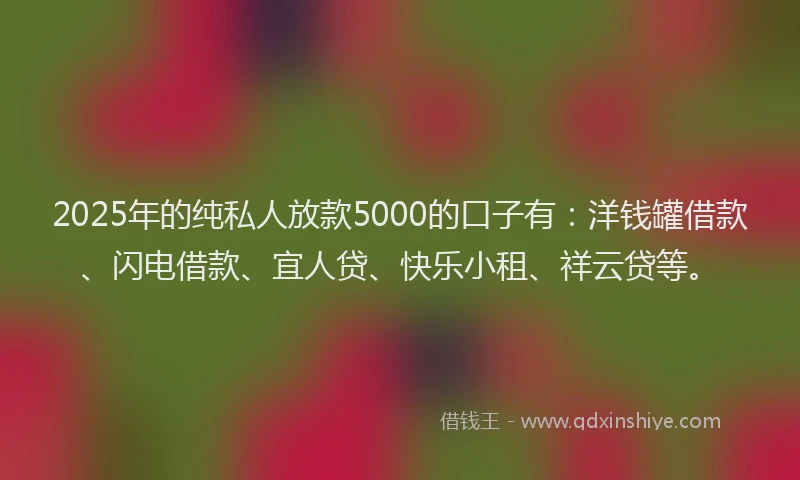 2025年的纯私人放款5000的口子有：洋钱罐借款、闪电借款、宜人贷、快乐小租、祥云贷等。
