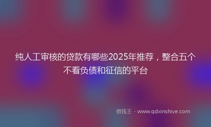 纯人工审核的贷款有哪些2025年推荐，整合五个不看负债和征信的平台