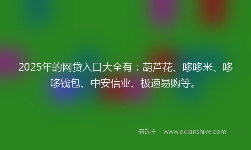 2025年的网贷入口大全有：葫芦花、哆哆米、哆哆钱包、中安信业、极速易购等。