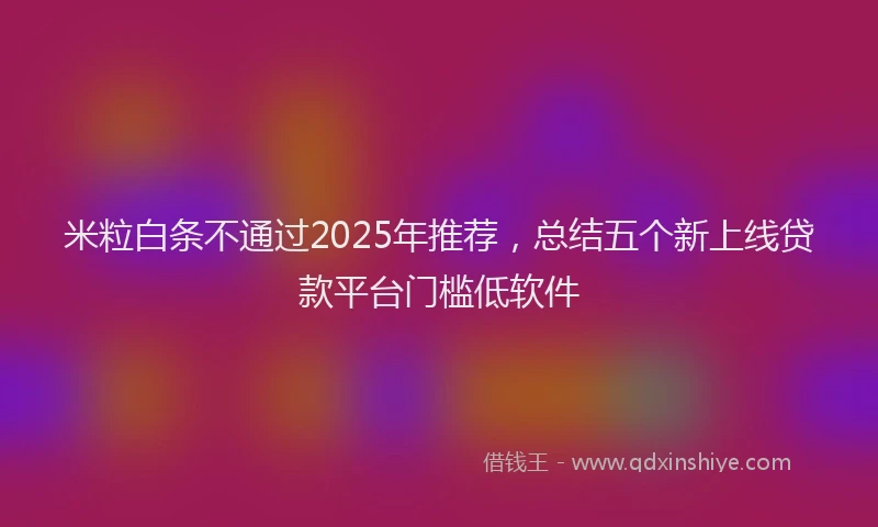 米粒白条不通过2025年推荐，总结五个新上线贷款平台门槛低软件