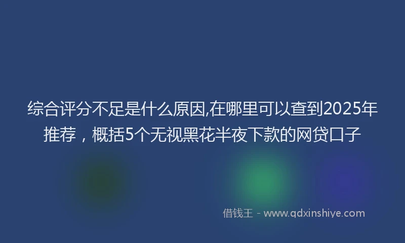 综合评分不足是什么原因,在哪里可以查到2025年推荐，概括5个无视黑花半夜下款的网贷口子