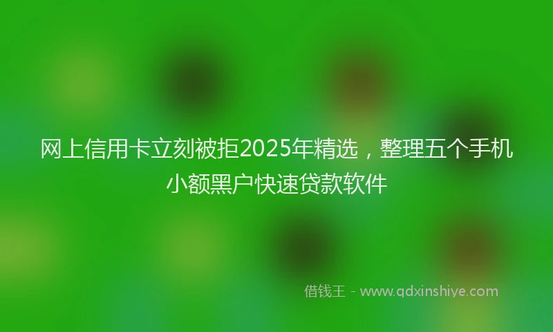 网上信用卡立刻被拒2025年精选，整理五个手机小额黑户快速贷款软件