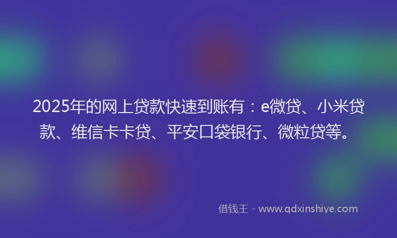 2025年的网上贷款快速到账有：e微贷、小米贷款、维信卡卡贷、平安口袋银行、微粒贷等。