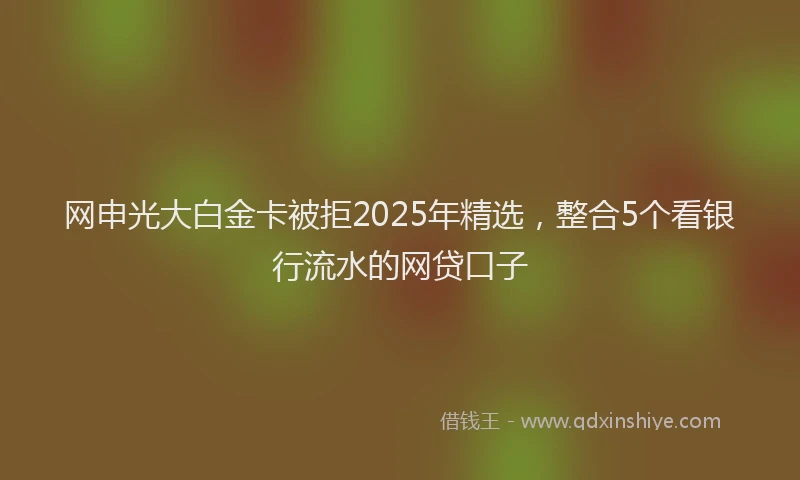 网申光大白金卡被拒2025年精选，整合5个看银行流水的网贷口子