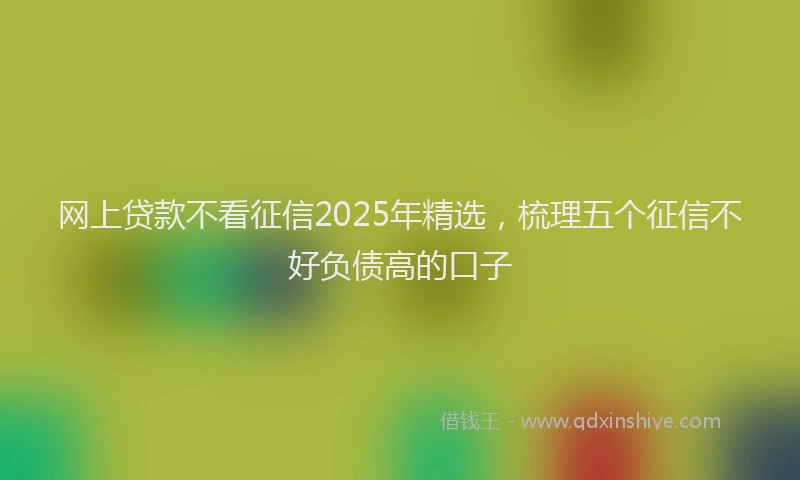网上贷款不看征信2025年精选，梳理五个征信不好负债高的口子