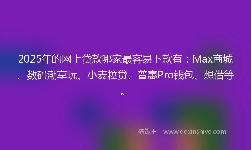 2025年的网上贷款哪家最容易下款有：Max商城、数码潮享玩、小麦粒贷、普惠Pro钱包、想借等。