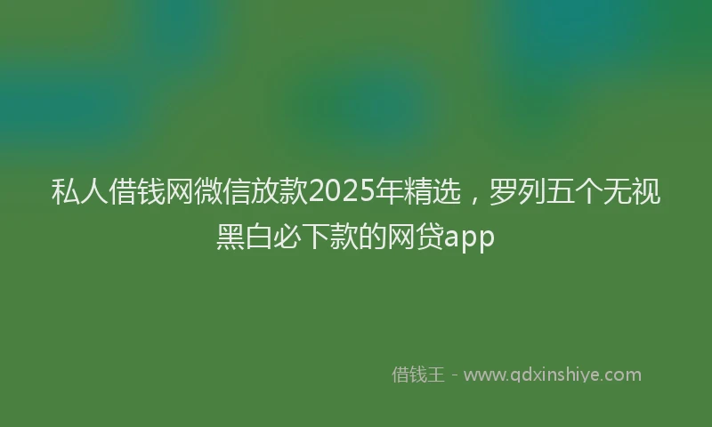 私人借钱网微信放款2025年精选，罗列五个无视黑白必下款的网贷app