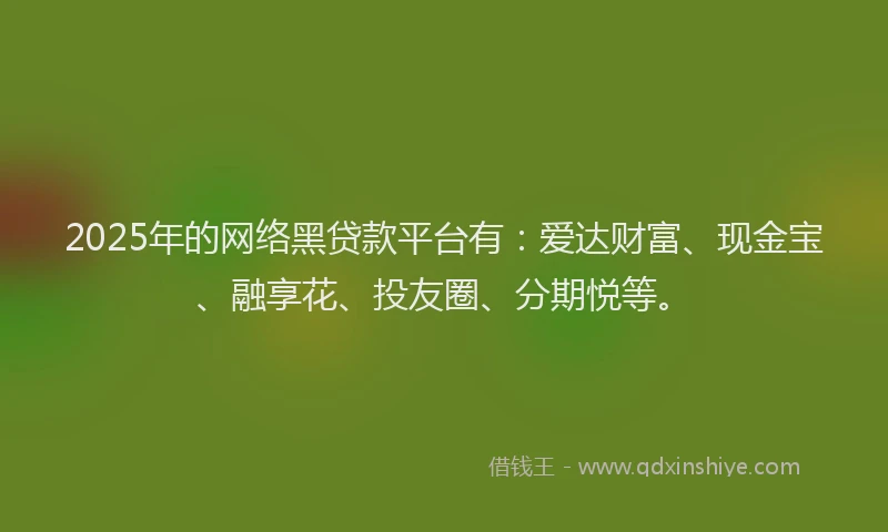 2025年的网络黑贷款平台有：爱达财富、现金宝、融享花、投友圈、分期悦等。